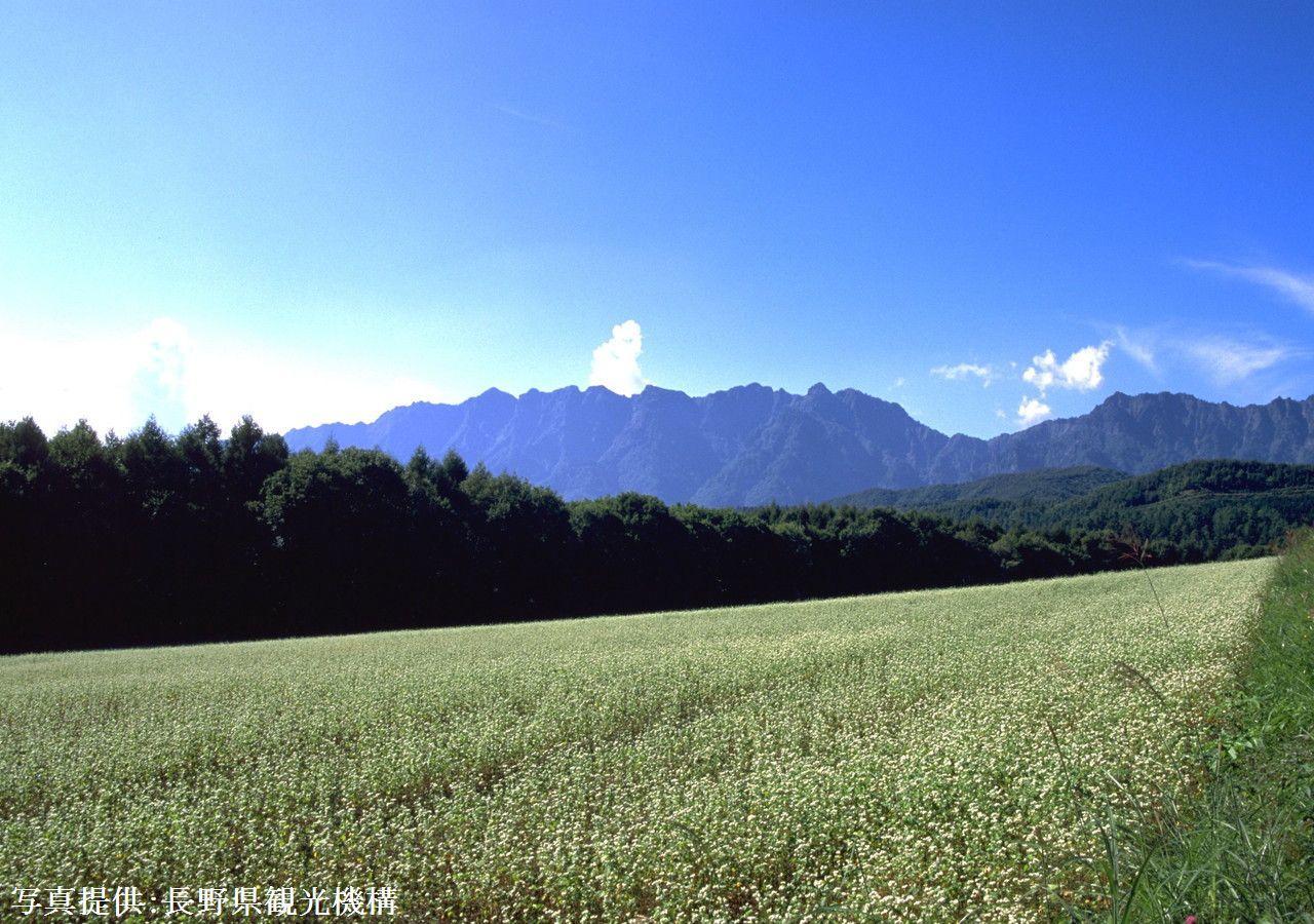ホテル 栞舎 長野市 エクステリア 写真