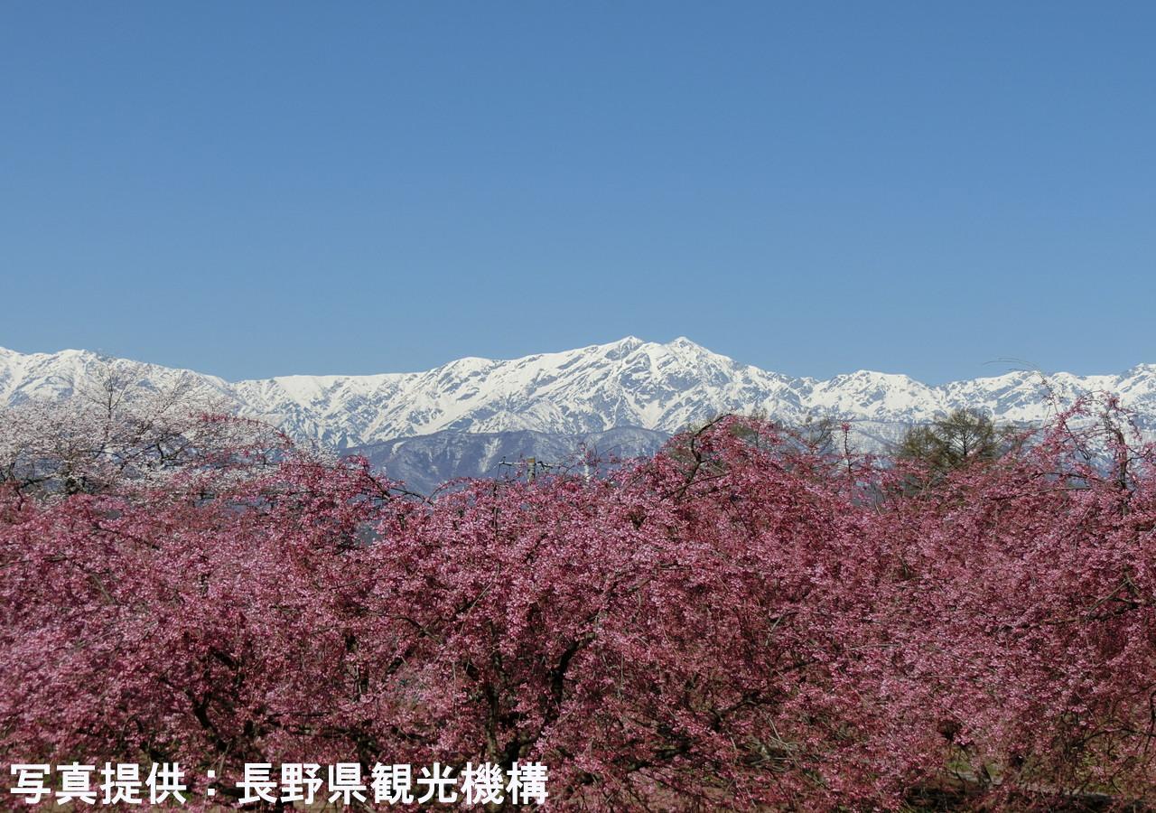 ホテル 栞舎 長野市 エクステリア 写真